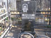 Клиот Мина Тевелевна, Москва, Малаховское кладбище