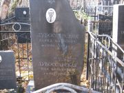 Дубоссарский Давид Маркович, Москва, Малаховское кладбище