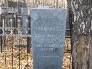 Капцанов Зайлик Беркович, Москва, Малаховское кладбище