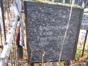 Баренбаум Ефим Григорьевич, Москва, Малаховское кладбище