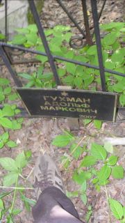 Гухман Адольф Маркович, Москва, Малаховское кладбище