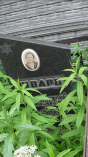 Шварц Рахиль Бенционовна, Москва, Малаховское кладбище