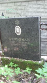 Фельдман Лиза Эльевна, Москва, Малаховское кладбище