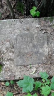 Бернштейн Дора Борисовна, Москва, Малаховское кладбище