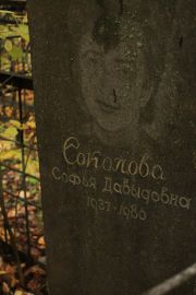 Соколова Софья Давыдовна, Москва, Малаховское кладбище
