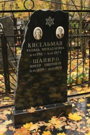 Шапиро Шнеер Ушерович, Москва, Малаховское кладбище