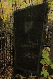 Бограчева Фаина Абрамовна, Москва, Малаховское кладбище