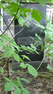 Собельман Дора Иосифона, Москва, Малаховское кладбище