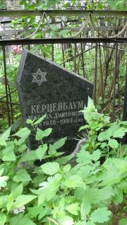 Керценбаум Михаил Дмитриевич, Москва, Малаховское кладбище