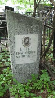 Шерле София Моисеевна, Москва, Малаховское кладбище