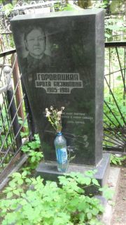 Горовацкая Броха Айзиковна, Москва, Малаховское кладбище