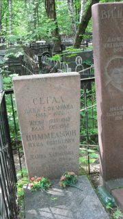 Сегал Дина Ефимовна, Москва, Малаховское кладбище