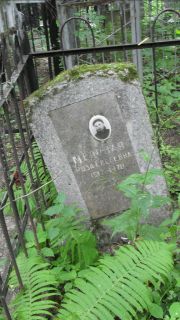 Медовая Роза Евсеевна, Москва, Малаховское кладбище