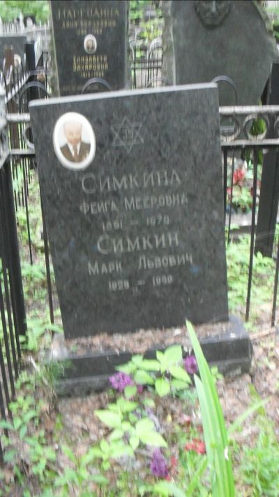 Симкин Марк Львович