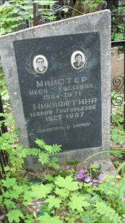 Майстер Неся Евсеевна, Москва, Малаховское кладбище
