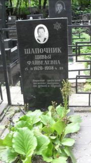 Шапочник Цивья Файвелевна, Москва, Малаховское кладбище