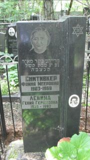 Снитивкер Фаина Мееровна, Москва, Малаховское кладбище