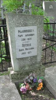 Малинкович Марк Абрамович, Москва, Малаховское кладбище