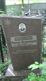 Шлосс Фаина Исааковна, Москва, Малаховское кладбище