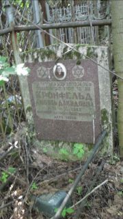 Кронфельд Любовь Давидович, Москва, Малаховское кладбище