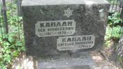 Каплан Лев Мойсеевич, Москва, Малаховское кладбище