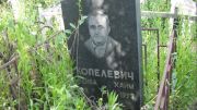 Копелевич Лейба Хаим, Москва, Малаховское кладбище