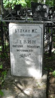 Левин Анатолий Моисеевич, Москва, Малаховское кладбище