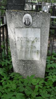 Гольдин Павел Яковлевич, Москва, Малаховское кладбище