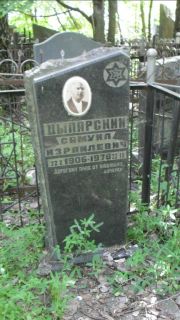 Цыплянский Самуил Израилевич, Москва, Малаховское кладбище