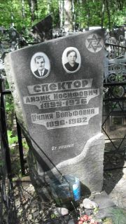 Спектор Айзик Иосифович, Москва, Малаховское кладбище
