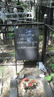 Спектор Михаил Александрович, Москва, Малаховское кладбище