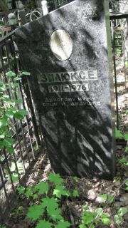 Зилюк С. Е., Москва, Малаховское кладбище