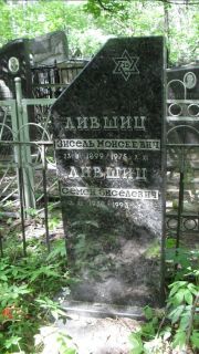 Лившиц Зисель Моисеевич, Москва, Малаховское кладбище
