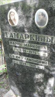Тамаркин Ефим Каламанович, Москва, Малаховское кладбище