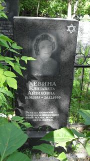 Левина Елизавета Айзиковна, Москва, Малаховское кладбище