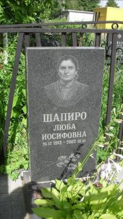 Шапиро Люба Иосифовна, Москва, Малаховское кладбище