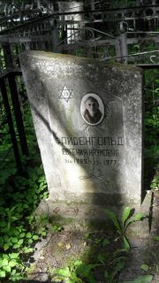 Файденгольд Евгения Наумовна, Москва, Малаховское кладбище