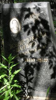Вознесенская-Шапиро Гинда Израилевна, Москва, Малаховское кладбище