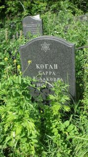 Коган Сарра Исааковна, Москва, Малаховское кладбище