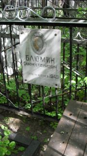 Блюмин Самуил Ефимович, Москва, Малаховское кладбище