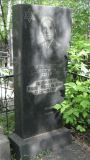 Долинер Яков Михелевич, Москва, Малаховское кладбище