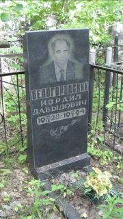 Белогородский Израил Давыдович, Москва, Малаховское кладбище