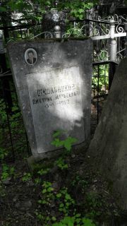 Школьников Дмитрий Матвеевич, Москва, Малаховское кладбище