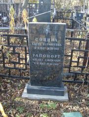 Рапопорт Михаил Ефимович, Москва, Малаховское кладбище