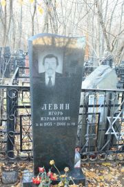 Левин Игорь Израилович, Москва, Малаховское кладбище
