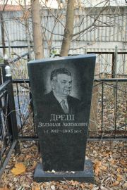 Дреш Зельман Акимович, Москва, Малаховское кладбище