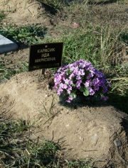 Карасик Ида Марковна, Москва, Малаховское кладбище