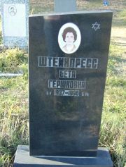 Штейнпресс Бетя Гершковна, Москва, Малаховское кладбище