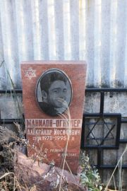 Манилов-Огнянер Александр Иосифович, Москва, Малаховское кладбище