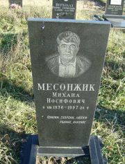 Месонжик Михаил Иосифович, Москва, Малаховское кладбище